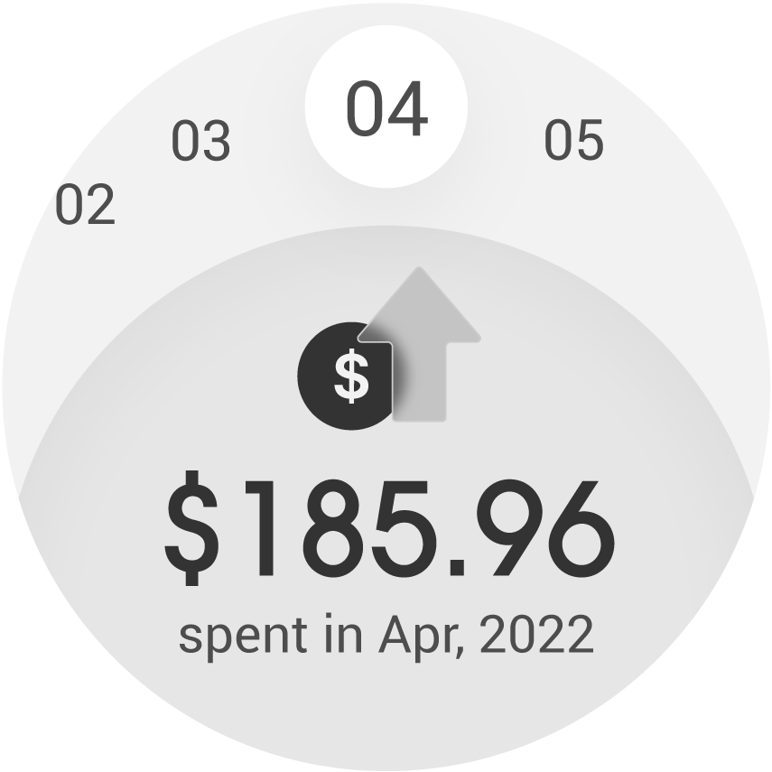 The spending page shows the amount spent each month. Users can view different months using the scrollable top section.