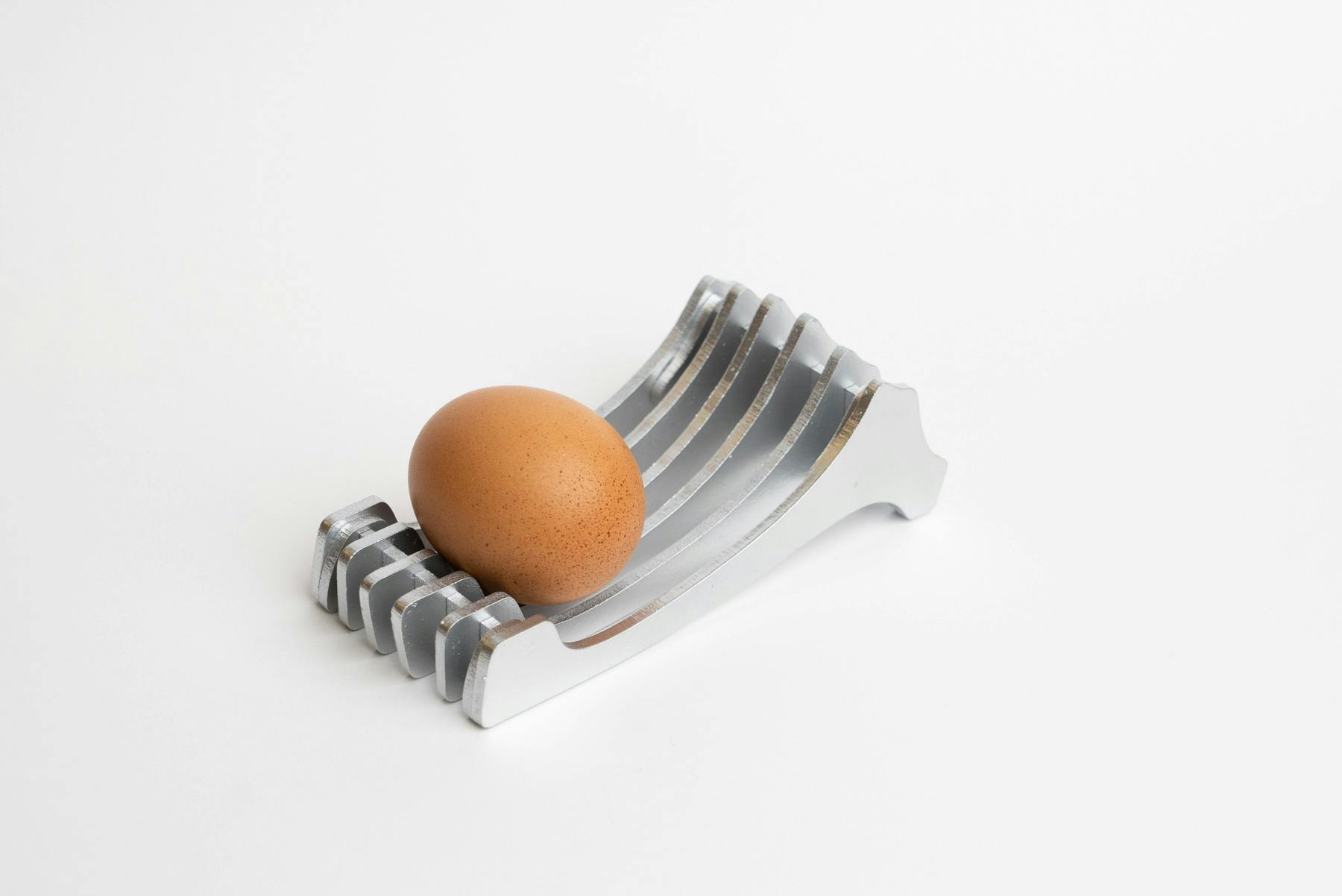 EggHolder 5, a matte silver plate-like model made of bone-like pieces, with an egg resting on it against a white background.