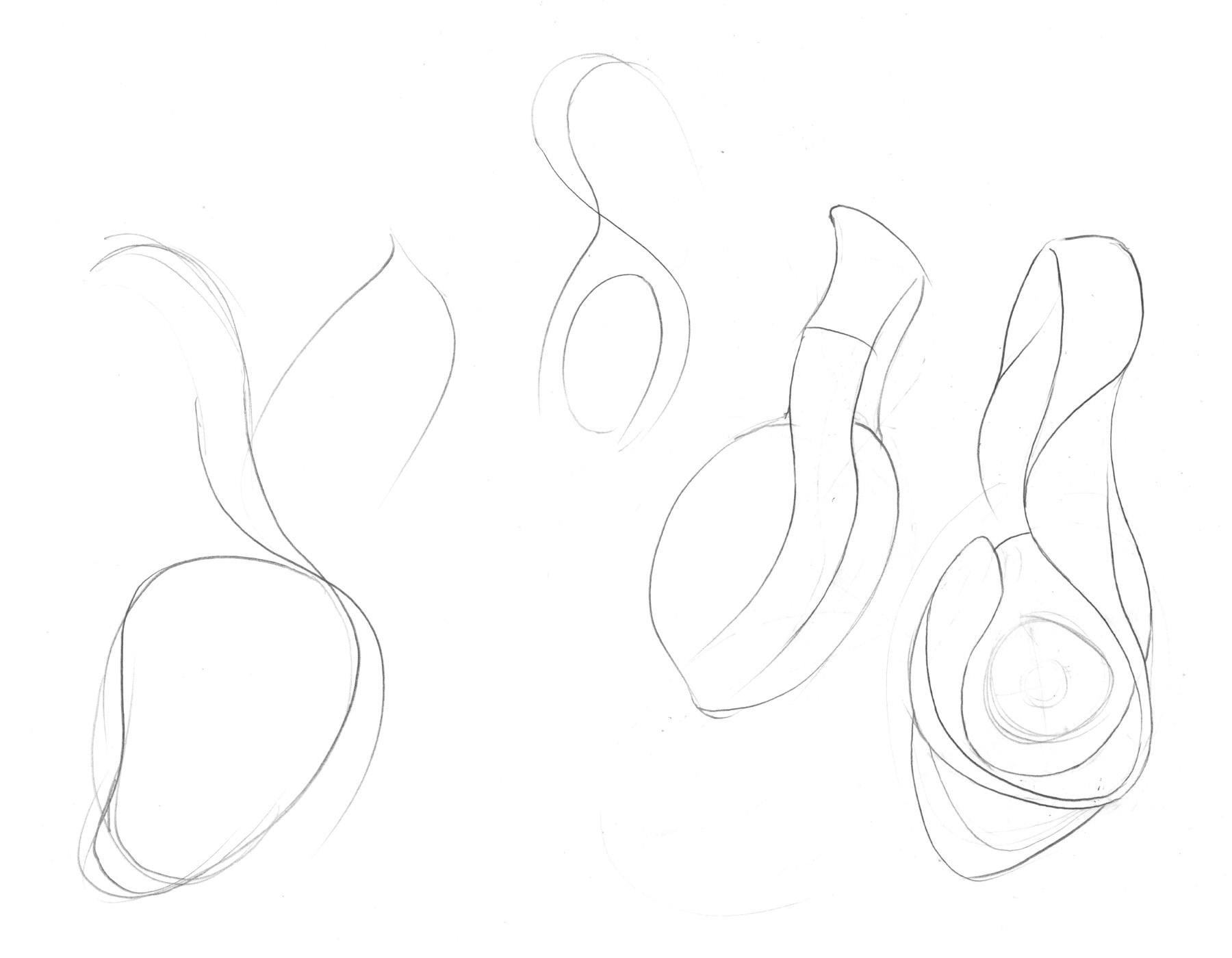 Rough sketches of headphones defined by large, sweeping curves.